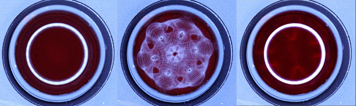 Three cymascope images of whole human blood in a fused-quartz cuvette